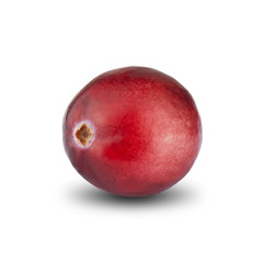 Fresh Cranberry
