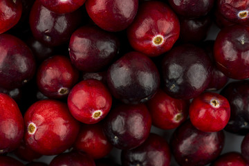 Fresh Cranberry