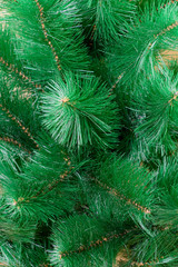 Christmas tree closeup