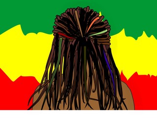 Rear view of man with dreadlocks on the background of the flag