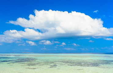 tropical beach in Maldives