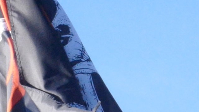 Piratenfahne im Wind in Nahaufnahme