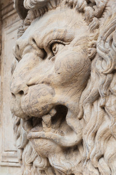 Decoration Lion's Head