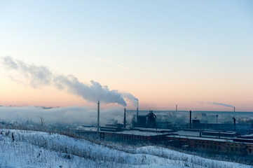 Naklejka premium Winter plant