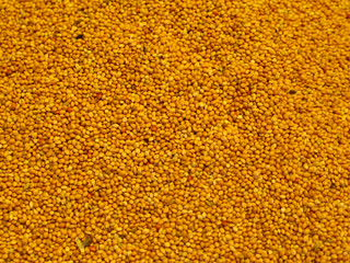 Mustard seeds