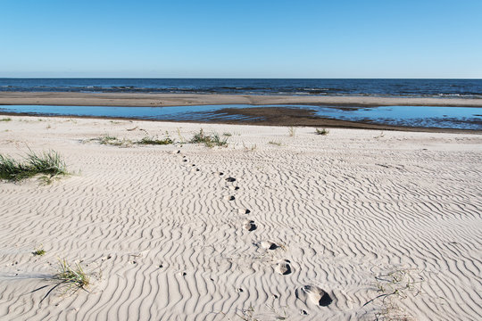 Footsamps on beach.