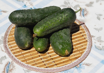 cucumbers stacked pile on a rustic table Ingredients