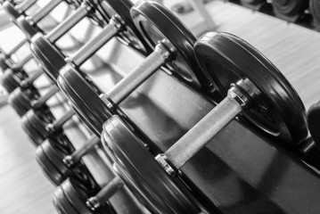 Set of Fixed-weight dumbbells in the gym