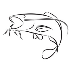 graphic catfish, vector
