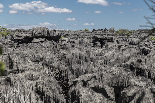 Madagascar famous heritage unesco landmark, Ankarana Tsingy black rocks geological formation.
