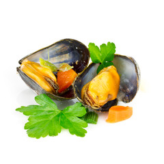 Miesmuscheln
