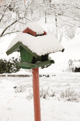 Winter feeding of birds
