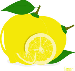 Lemon slices, collection of vector illustrations on a transparent background