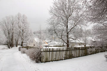 winter landscape