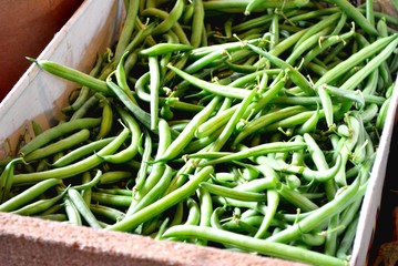 Harvested Fresh Green Beans at the Market