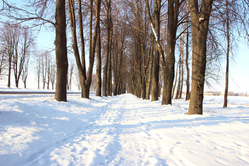 Winter. Winter road through snowy fields and forests. Winter road surrounded by snow-covered trees