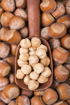 nocciole 