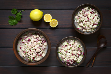 Chilean Ceviche made of Southern Ray's bream fish (lat. Brama Australis, Spanish Reineta), onion, garlic and cilantro marinated in lemon juice