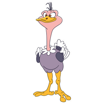 cute and funny cartoon ostrich is posing