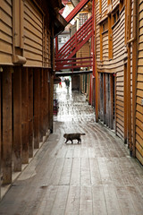 Fototapeta premium Norvegia,Bergen. Bryggen.