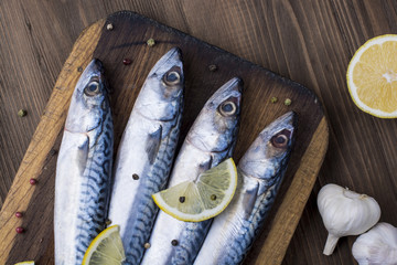 Mackerel