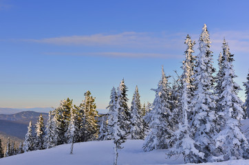 Fototapeta na wymiar Frosty winter morning in the mountains