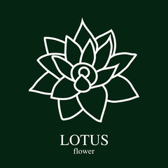 Lotus flower