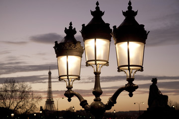 Fototapeta na wymiar Eiffel Tower illuminated at night in Paris, France
