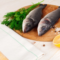Two fresh sea bass on a white background. 