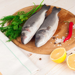 Two fresh sea bass on a white background. 