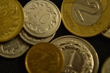 Polskie monety (złotówki)