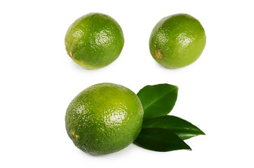 The fresh lime isolated on a white background