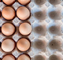 Eggs chicken farm, selection focus.