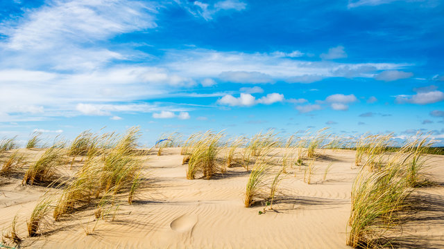 Sur les dunes