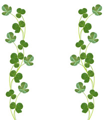 leaf clover on white background © alenalihacheva