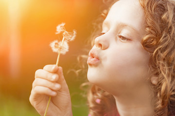 Cute little girl blowing dandelion, toning instagram filter.