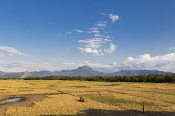 Obraz premium Agriculture fields in Madagascar landscape