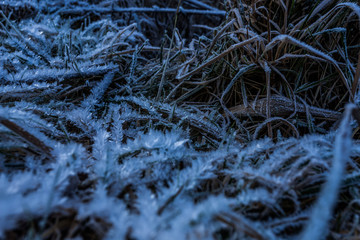 teich im winter rostock