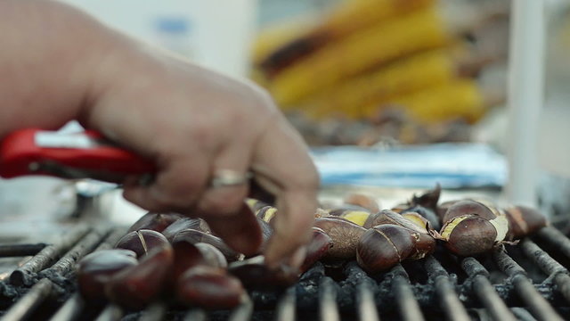 Close-Up Cooking Street Food 