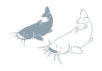 Naklejka premium fish catfish