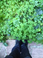 persona solo en el bosque