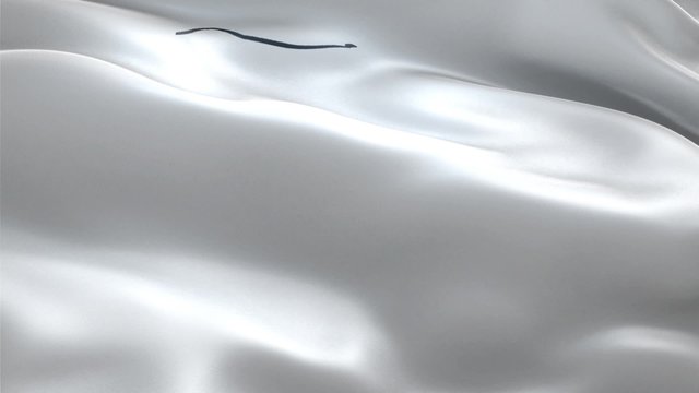 The flag with the contour of the country