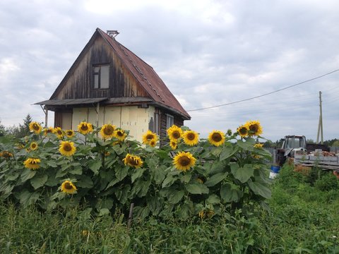 Домик в деревне