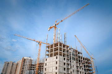Fototapeta premium Construction company and large crane
