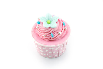 Colorful color cupcake isolated