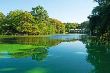 Fototapeta na wymiar Il laghetto di Central Park, lago, polmone verde, natura, alberi, parco pubblico, New York