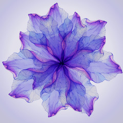 Obraz premium Akwarela kwiatowy okrągłe wzory.