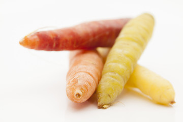 multicolored carrots