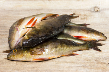 Fresh fish