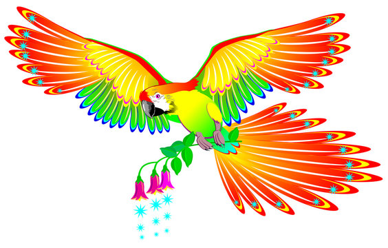 Illustration of fairyland fantasy parrot, vector cartoon image.
